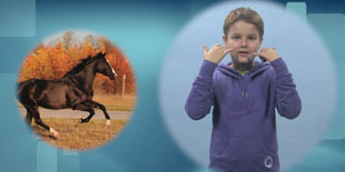 Quelle: Servicecenter ÖGS.barrierefrei