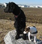 Ronja und Dada - auf der Suche